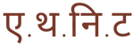 Ethnit Logo